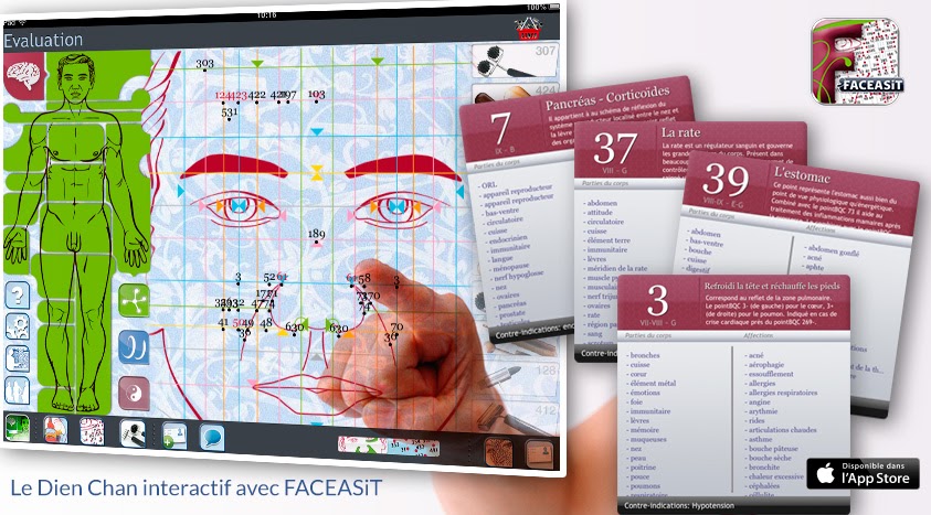 Les fiches de points·bqc